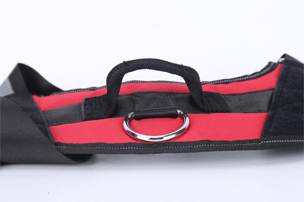 Strap'n'walk Custom Dog Harness - Lovepawz