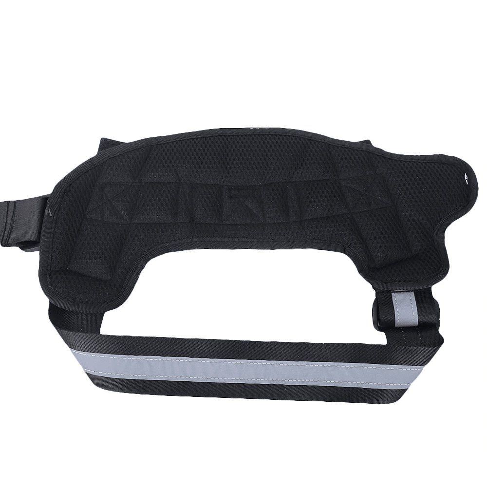 Strap'n'walk Custom Dog Harness - Lovepawz