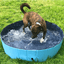 Foldable Pet Collapsible Swimming Pool - Lovepawz