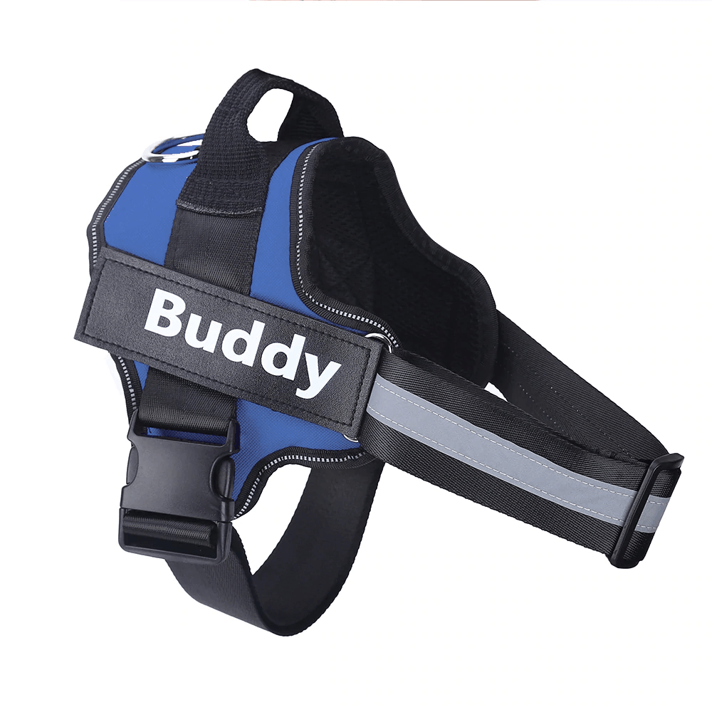 Strap'n'walk Custom Dog Harness - Lovepawz