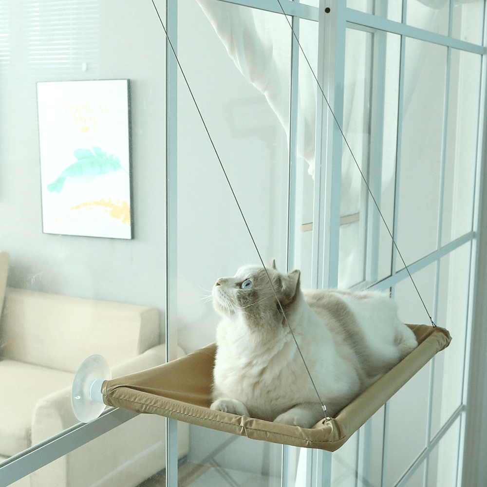 Cat Window Hammock - Lovepawz
