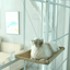 Cat Window Hammock - Lovepawz