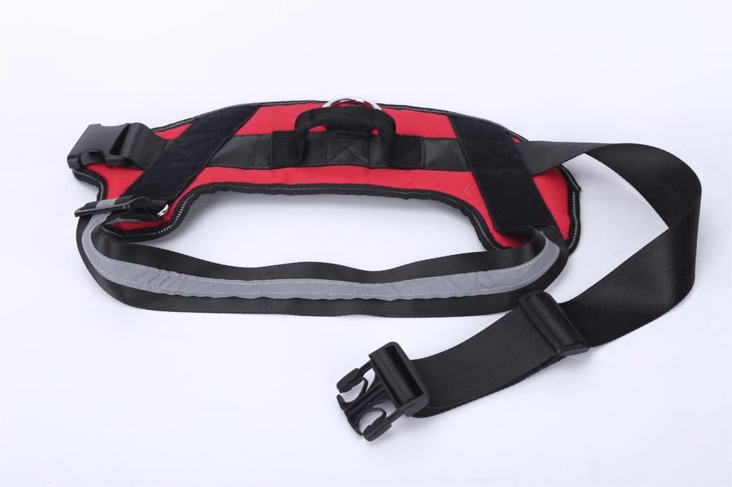 Strap'n'walk Custom Dog Harness - Lovepawz