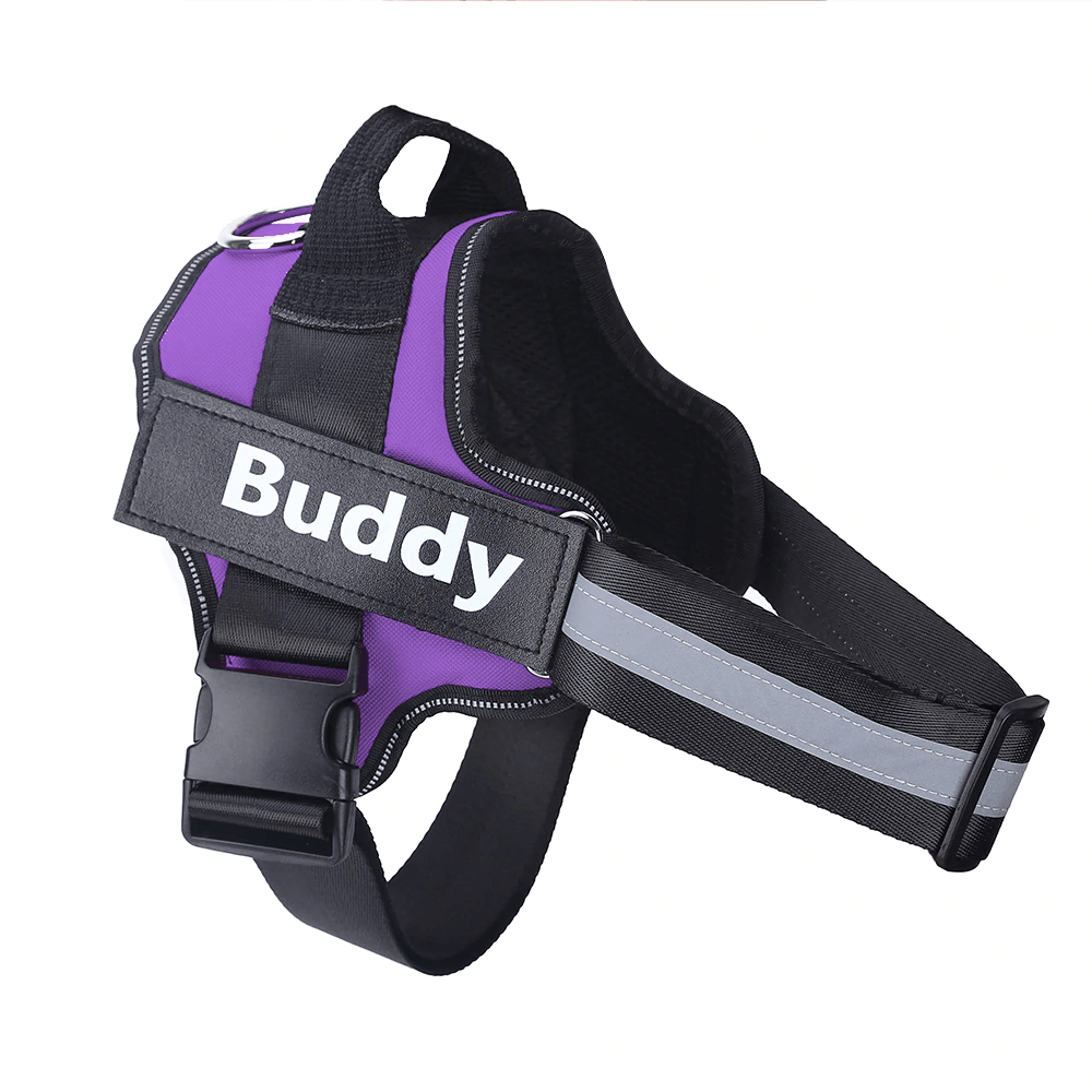 Strap'n'walk Custom Dog Harness - Lovepawz