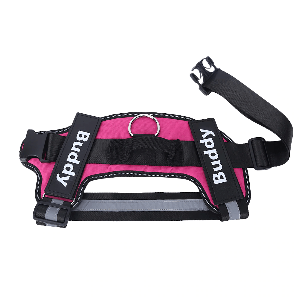 Strap'n'walk Custom Dog Harness - Lovepawz