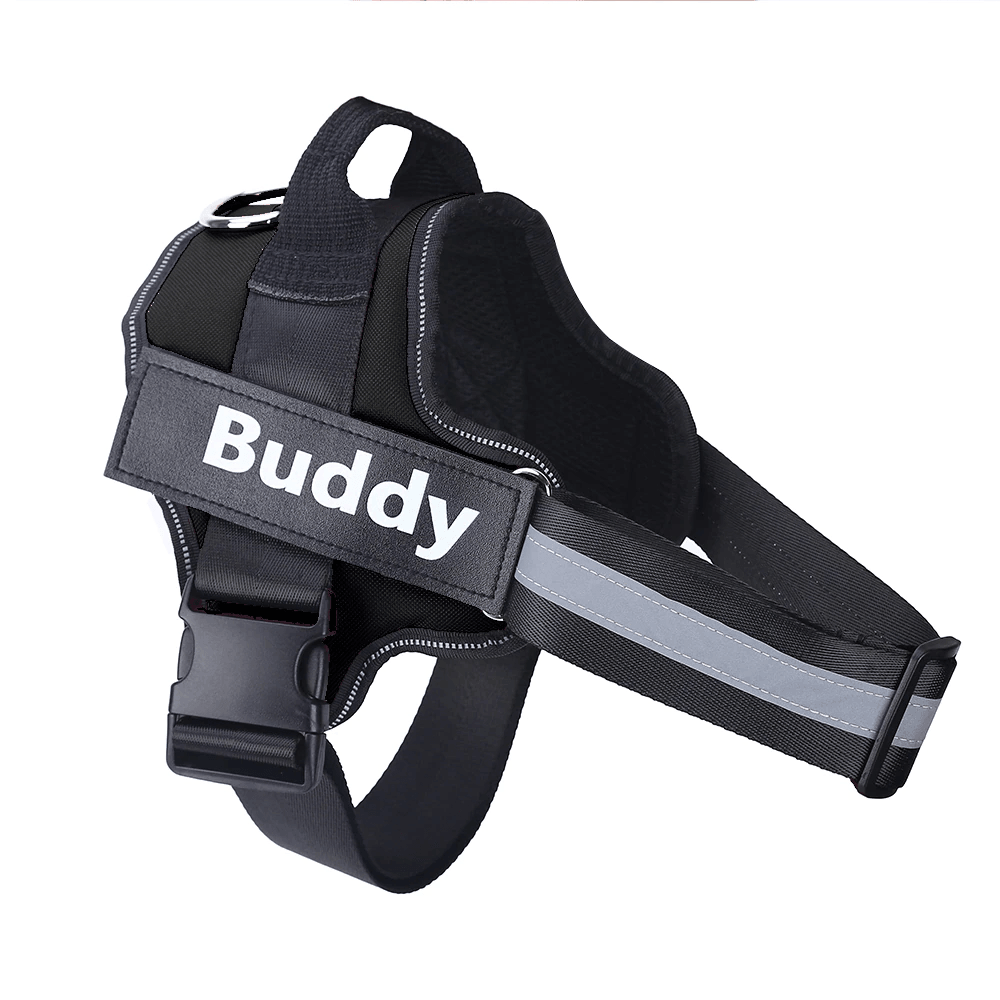 Strap'n'walk Custom Dog Harness - Lovepawz