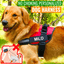 Strap'n'walk Custom Dog Harness - Lovepawz