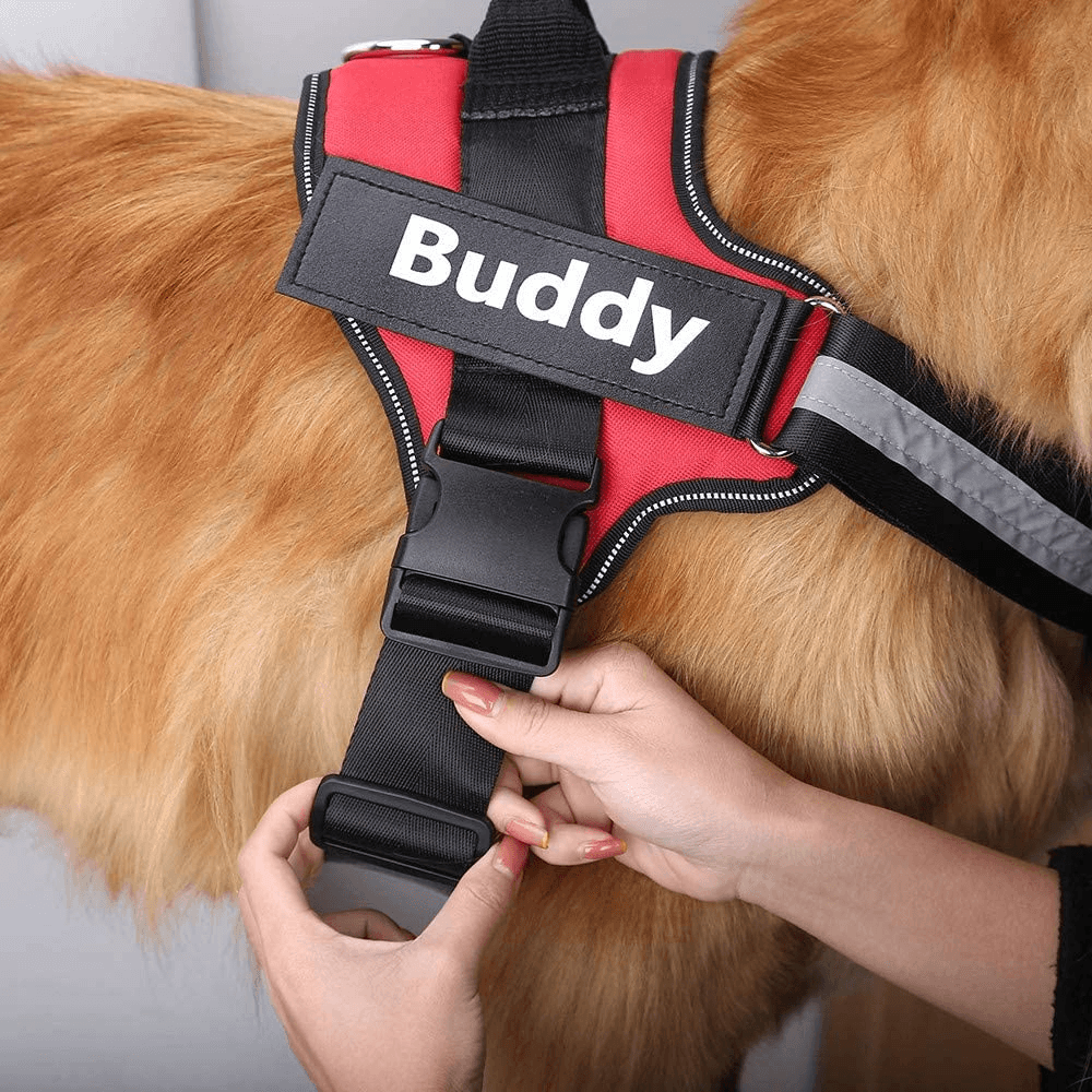 Strap'n'walk Custom Dog Harness - Lovepawz
