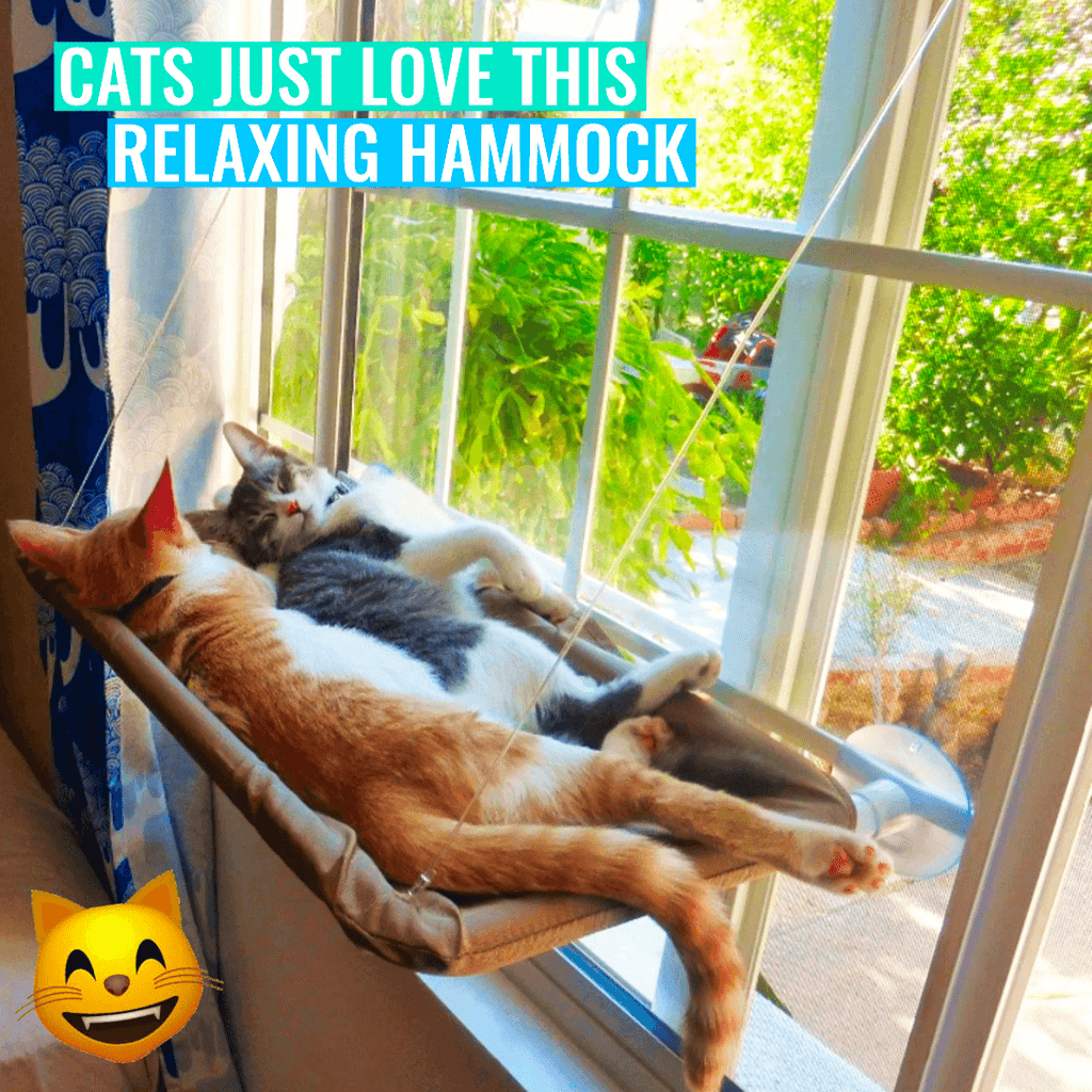 Cat Window Hammock - Lovepawz