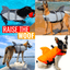 SharkPal- Pets Life Jacket - Lovepawz