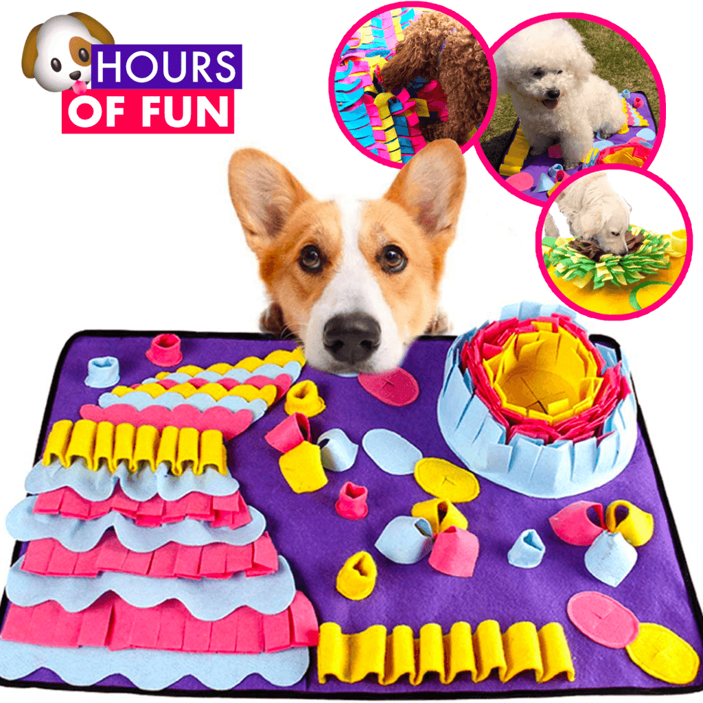 Training Pet Snuffle Mat - Lovepawz - Lovepawz