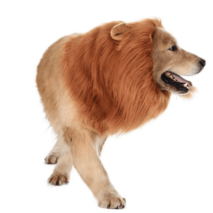 Lion Mane Dog Cat Wig Hat Costume - Lovepawz