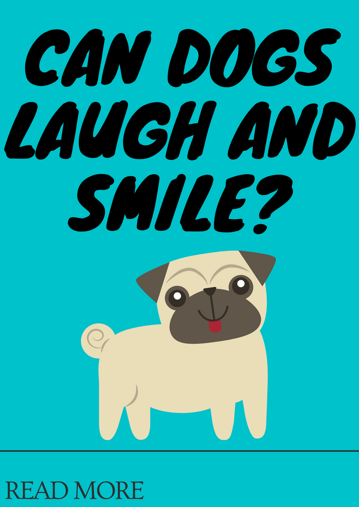 Can Dogs Laugh?