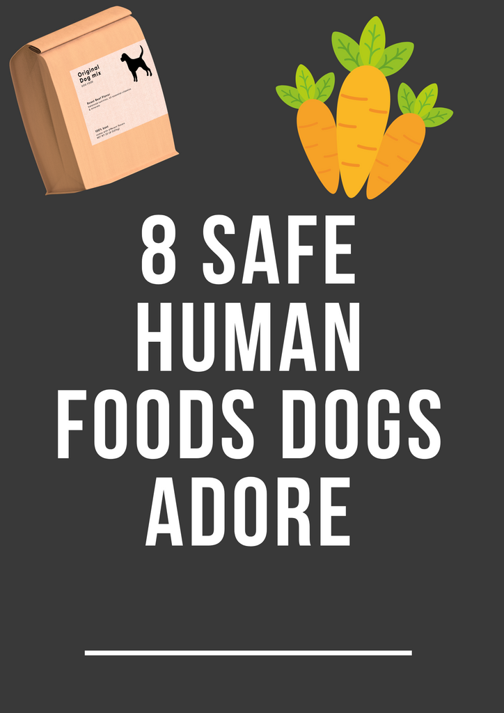 8 Safe Human Foods Dogs Adore