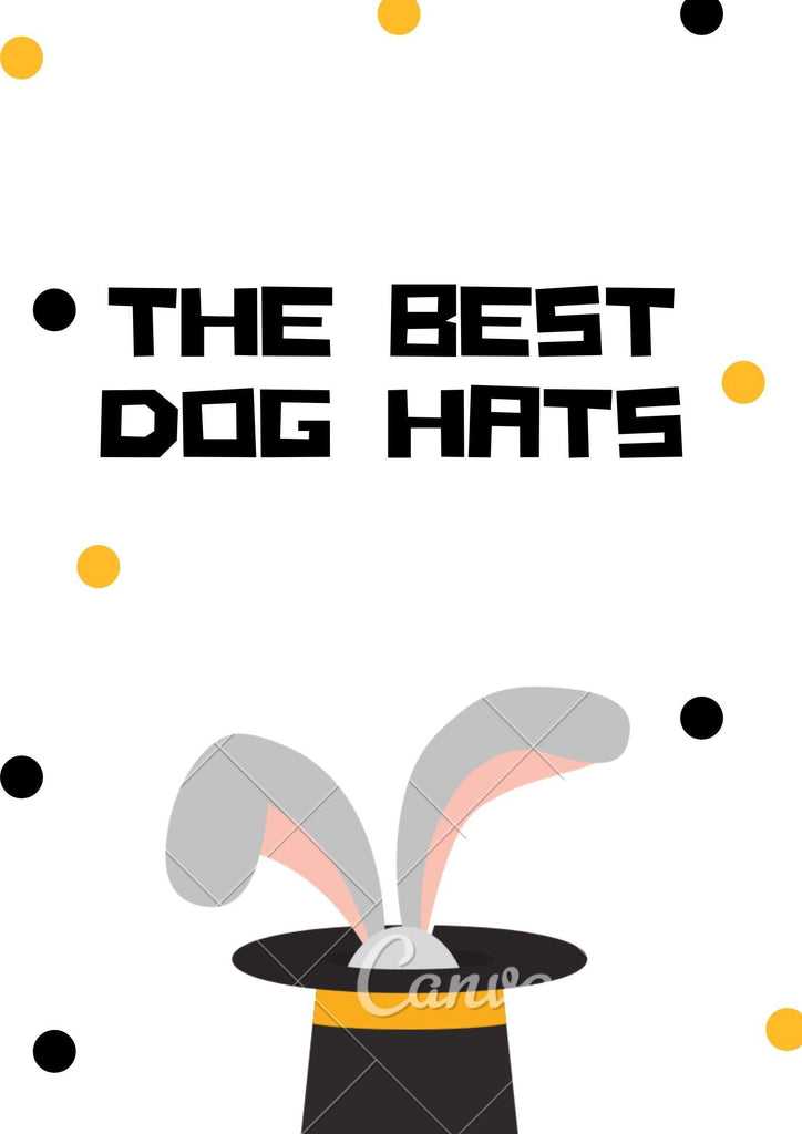 The Best Dog Hats and Dog Visors For The Sunbound Pup