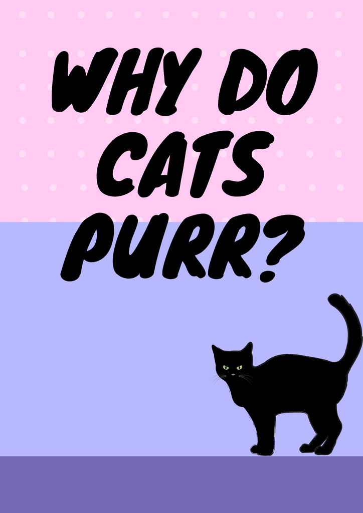 Why Do Cats Purr??