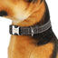 Custom Pet Patterned Collar Tag - Lovepawz