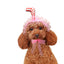 Lace Dog Hat Cap Pet Headwear Hats with Ear Holes Cute Straw Design - Lovepawz