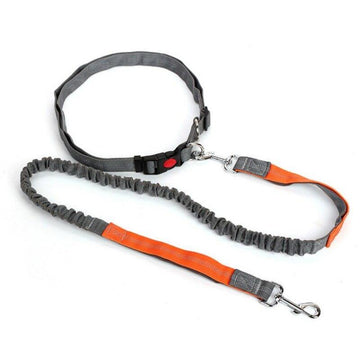 Elastic Breakaway Hand Free Waist leash - Lovepawz