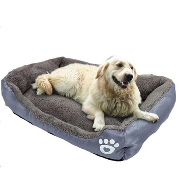 The Sofa Paw - Lovepawz