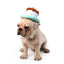 Dog Birthday Cake Hats - Lovepawz