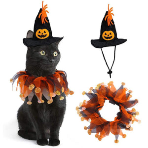 Halloween Cat Hat+Scarf Pumpkin Costume Set - Lovepawz