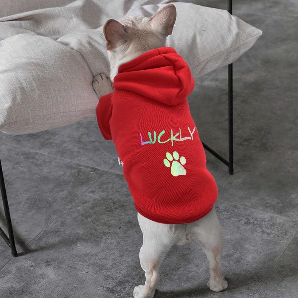 Personalized Cotton Dog Custom Hoodie - Lovepawz