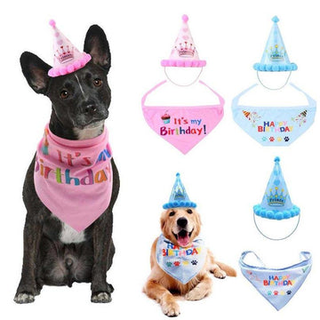 Pet Birthday Set - Lovepawz