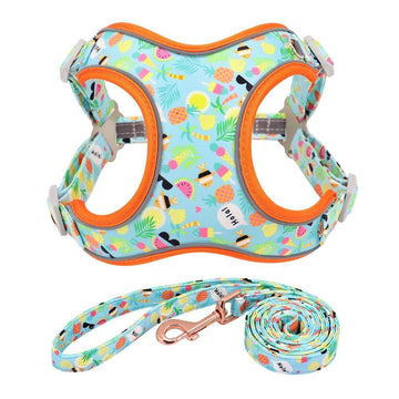 CandiFuity Fashion Dog Harness and Leash Set - Lovepawz