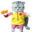 Funny Cute WcDonald's Cat Costume - Lovepawz