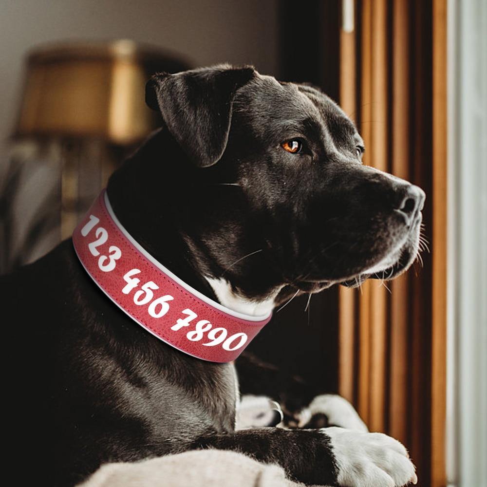 Personalized Large Wide Leather Custom Print Dog Collar - Lovepawz