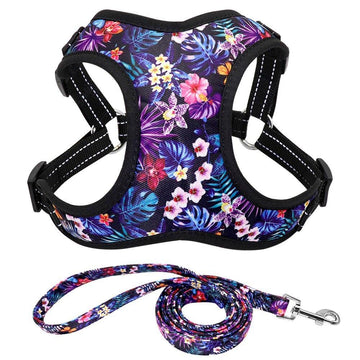 Flower Nylon Harness And Leash - Lovepawz