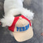 Dog Gorro Perro Hat - Lovepawz