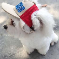 Dog Gorro Perro Hat - Lovepawz