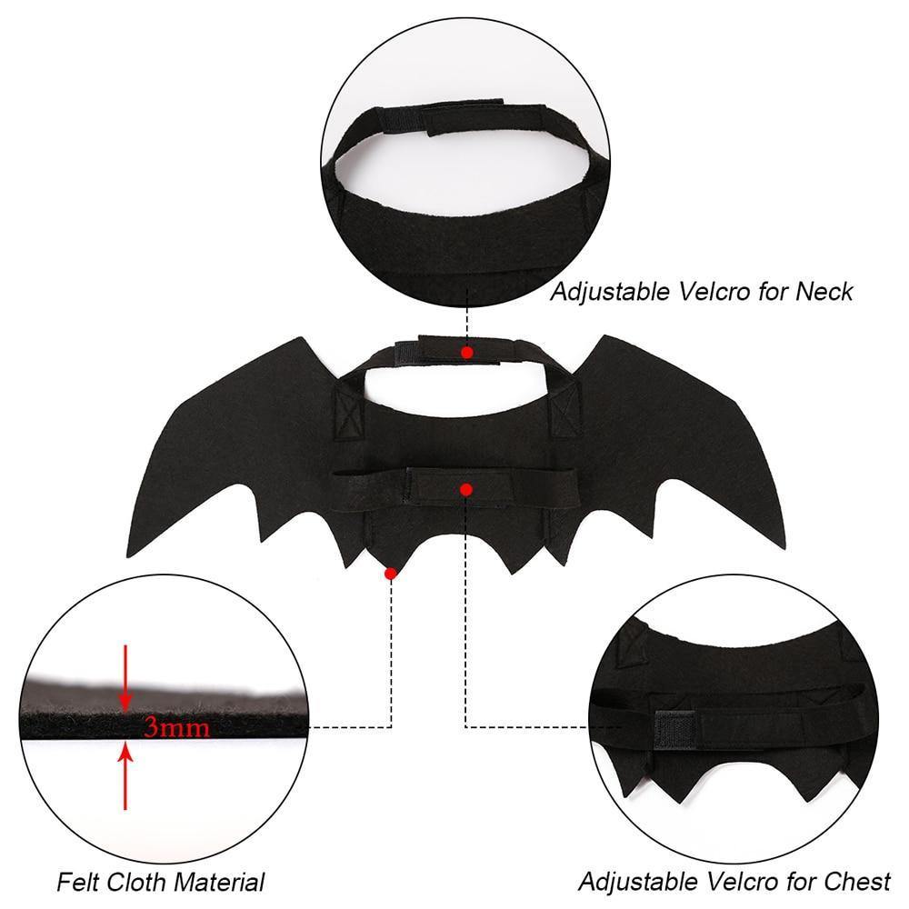 Scary Cat Bat Costume - Lovepawz