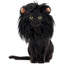 Cute Cat Lion Mane Hat Costume - Lovepawz
