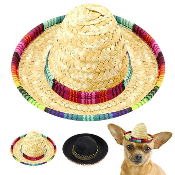 Cute Mini Sombrero Hat - Lovepawz