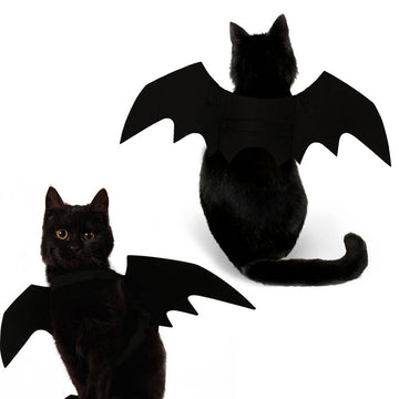 Scary Cat Bat Costume - Lovepawz