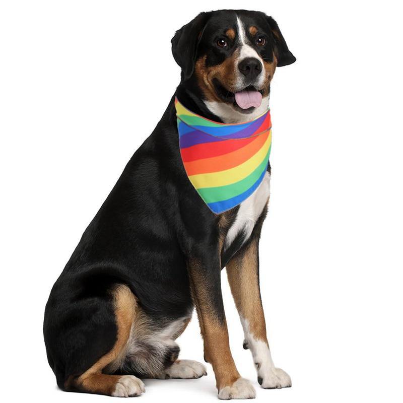 Rainbow Style Dog Bandana Scarf - Lovepawz