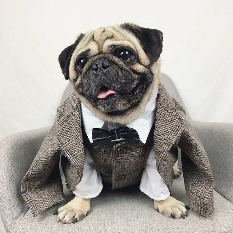 Dog Wedding Party Suit Tuxedo Coat Costume - Lovepawz