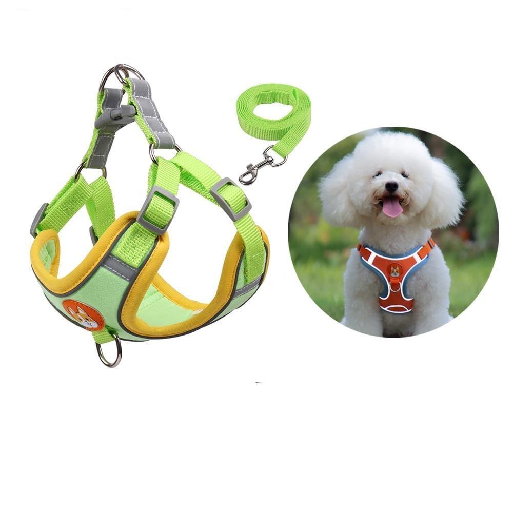 Reflective Terrier Dog Harness and Leash Set - Lovepawz
