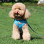 Grid Design Dog Harness and Leash Set - Lovepawz