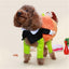 Funny Dog Pumpkin Costume - Lovepawz