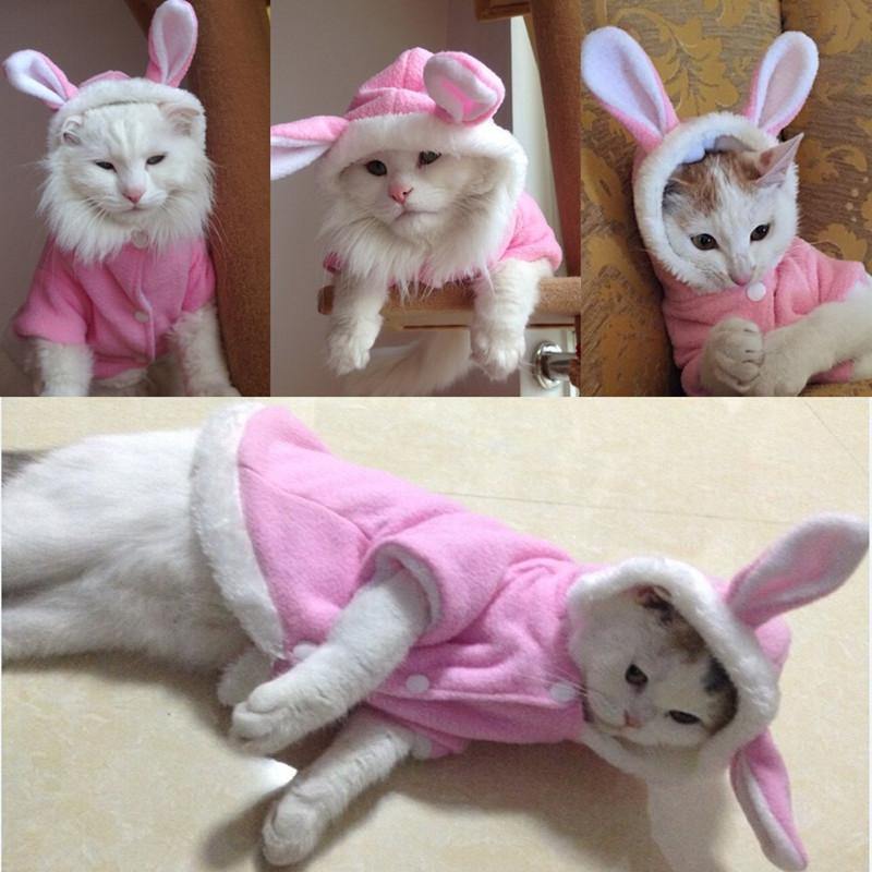 Cat Bunny Costume Robe Clothing - Lovepawz