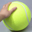 Giant Dog Tennis Ball - Lovepawz