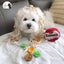 Dogs Snuffle Noodle Toys - Lovepawz