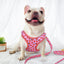 CandiFuity Fashion Dog Harness and Leash Set - Lovepawz