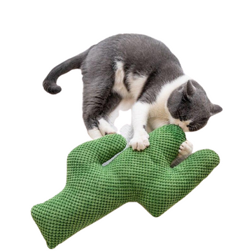 Cactus Catnip Cat Toy Pet Plush Chew Teeth Toy - Lovepawz