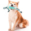 Sticker Chew Dog Toothbrush - Lovepawz