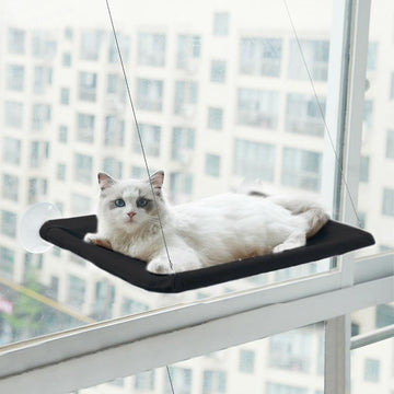 Cat Window Hammock - Lovepawz